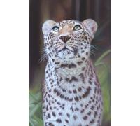 2026 hard back Diary with Leopard Big Cat artwork by Sally Sturgess Pet Portraits & Wildlife Art. Week per page with UK holidays, pagan festivals and ... 5.75 inches (approx A5). Supports a UK artist