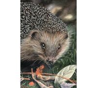 2026 Hedgehog Diary with artwork by Sally Sturgess Pet Portraits & Wildlife Art. Week per page with UK holidays, pagan festivals and moon phases: Supports a UK artist