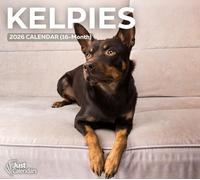 2026 Kelpies Deluxe Wall Calendar | Australian Dogs | 12" x 13.3" | Plastic Free | 16-Month | Plastic Free | Home & Office Organizer | Monthly View | Major Holidays
