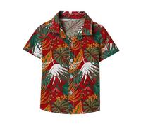 2026 Kids Toddler Boys Girls Short Sleeve Summer Casual Gentleman Tops Hawaii Beach Holiday Floral Shirts T Shirt (Red, 3-4 Years)