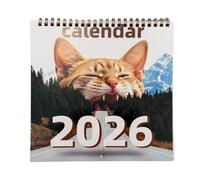 2026 Kitten Theme Calendar From Jan to Dec with Holiday Marking Twin Coil Binding Wall Mounted Monthly Calendar Planner