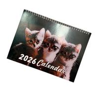 2026 Kitten Theme Wall Mounted Monthly Calendar Twin Coil Binding From Jan to Dec for Classroom Home Decoration