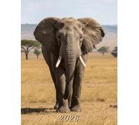 2026: Large Monthly Calendar Planner - Elephant On The African Savannah