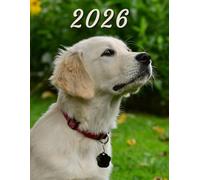 2026: Large Monthly Calendar Planner - Golden Lab Puppy Dog