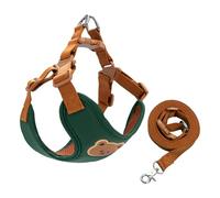 2026 Lead for Relaxed Walking More Joy of Your Own Body - So Enjoy Making Walks Even More Beautiful (C, 46 cm)