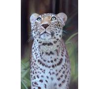 2026 Leopard Diary with Big Cat artwork by Sally Sturgess Pet Portraits & Wildlife Art.: Week per page with UK holidays, pagan festivals and moon ... 5.75 inches (approx A5). Supports a UK artist