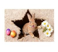 2026 Living Room Rug An Easter Bunny Rug - A Touch of Playfulness Joy for Her, Suitable for Everyone Conveys Christmas Feeling! (B, One Size)