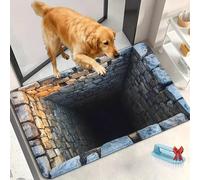 2026 New 3D Hole Rug, Optical Illusion Rug, Dog Gets Scared of 3D Carpet, Rugs That Looks Like a Hole, Non-Slip Visual Doormat, for Bedroom, Living Room or Game with Pets