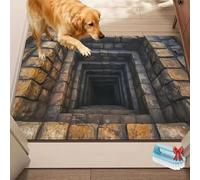 2026 New 3D Hole Rug, Optical Illusion Rug, Dog Gets Scared of 3D Carpet, Rugs That Looks Like a Hole, Non-Slip Visual Doormat, for Bedroom, Living Room or Game with Pets