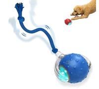 2026 New Dog Toy, Interactive Fast Moving Toys Balls with Birdsong, Motion Activate Pettoys, 360° Smart Automatic Rolling Electric Dog Ball Toy with Rope for Dogs and Cat Indoor Play (Blue)