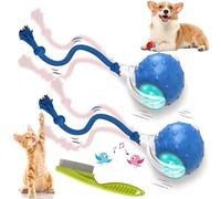 2026 New Dog Toy, Motion Dog Toy, Interactive Rolling Ball with Birdsong, Smart 360° Automatic Rolling Electric Dogs Ball Toys with Rope for Dogs and Cat Indoor Play (Blue*2)