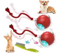 2026 New Dog Toy, Motion Dog Toy, Interactive Rolling Ball with Birdsong, Smart 360° Automatic Rolling Electric Dogs Ball Toys with Rope for Dogs and Cat Indoor Play (Red*2)
