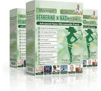 2026 New Moringa 10-in-1 Advanced Nano Microneedle Patch, Moringa x Berberine Patches, Weight Loss Patches, Natural Metabolic Balance Patch, Breathable, Gentle Soothing for All Body Types