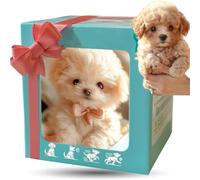 2026 New Nicoo My Realistic Robot Puppy, Robot Dog That Acts Like A Real Dog, Ai Dogs for Adults Realistic for Adults, Walking, Barking, Tail Wagging, Gift for Pet Lover (#4)