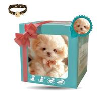 2026 New Nicoo My Realistic Robot Puppy, That Acts Like A Real Dogs,My Realistic Robot Puppy for Adults, Walking, Barking, Tail Wagging, Gift for Pet Lovers (Style A)