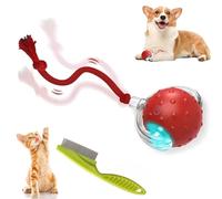 2026 New Tiny Fetch Dog Toy, Tiny Fetch Motion Dog Toy, Interactive Rolling Ball with Birdsong, Smart 360° Automatic Rolling Electric Dogs Ball Toys with Rope for Dogs and Cat Indoor Play (Red)