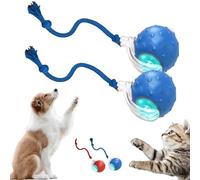 2026 New Tiny Fetch Dog Toy, Tinyfetch Interactive Fast Moving Toys Balls with Birdsong, 360° Smart Automatic Rolling Electric Dog Ball Toy with Rope for Dogs and Cat Indoor Play (Blue*2)