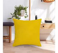 2026 Pillow Decorative Pillow Covers, 18 x 18 Inch Sofa Cushion Cover, Daisy Waterproof Throw Pillow Covers for Patio, Garden, Living Room, Sofa Decoration (C, One Size)