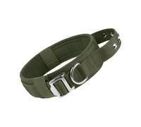 2026 Reflective Nylon Collar with Heavy Duty Buckle Adjustable Collar for Small, Medium, Large Sizes - Great for Training Walks (D, XL)