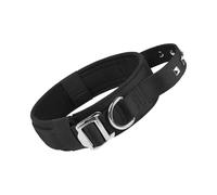 2026 Reflective Nylon Collar with Heavy Duty Buckle Adjustable Collar for Small, Medium, Large Sizes - Great for Training Walks (A, L)