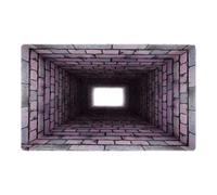 2026 Rug Living Room 3D Doormat Diatomaceous Earth Optical Weatherproof Super Absorbent Non-Slip 3D Rug Easy Clean for Living Room Kitchen Entrance Area (Purple1, 40 x 60 cm)