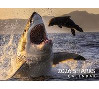 2026 Sharks Wall Calendar