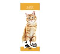 2026 Slim Month To View Spiral Bound Cat Photo Wall Calendar - Cats