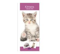 2026 Slim Month To View Spiral Bound Cats Photo Wall Calendar - Kittens