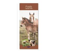 2026 Slim Month To View Spiral Bound Horse Photo Wall Calendar - Foals