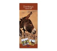 2026 Slim Month To View Spiral Bound Photo Wall Calendar - Donkeys