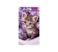 2026 Slim Pocket 2 Week To View Soft back Cat Diary - Purple Background Tabby Kitten