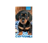 2026 Slim Pocket 2 Week To View Softback Dog Diary - Dachshund Sausage Dog Puppy