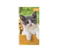 2026 Slim Pocket Diary Week to View - Kitten Photo Hardcover Gloss Finish Cat Design Planner - Lightweight Compact Portable Organiser Notebook - Student Organiser Travel Diary