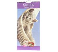 2026 Slim Wall Calendar Planner Spiral, Scenic, Postal, Envelope,Sleek and Compact Calender Gift .Wider Range of designs (30 x14cm) (Kittens)