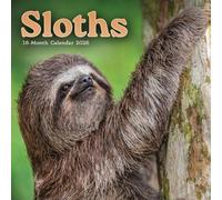 2026 Sloths Mini Wall Calendar