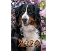 2026: Small Monthly Calendar Planner - Bernese Mountain Dog