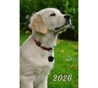 2026: Small Monthly Calendar Planner - Golden Lab Puppy Dog