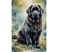 2026: Small Monthly Calendar Planner - Watercolor Newfoundland Dog