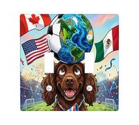 2026 Soccer Boykin Spaniel Dog Decorative Light Switch Cover Plate 2 Gang Double Toggle, Match Day Celebrate Puppy Electrical Switchplate, Sport Pattern Electrical Faceplate for Room