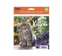 2026 Spiral Bound Wiro Flip Desk Top Cat Photo Calendar - Cute Kittens