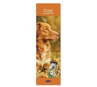 2026 Super Slim Month To View Spiral Bound Animal Photo Wall Calendar - Dogs