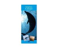 2026 Super Slim Month to View Spiral Bound Hanging Wall Calendar Home Office (Dolphins)