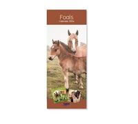 2026 Super Slim Month to View Spiral Bound Hanging Wall Calendar Home Office (Foals)
