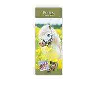 2026 Super Slim Month to View Spiral Bound Hanging Wall Calendar Home Office (Ponies)