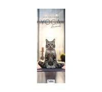 2026 Super Slim Month to View Spiral Bound Hanging Wall Calendar Home Office (Yoga Cat)
