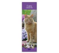 2026 Super Slim Month To View Spiral Bound Photo Wall Calendar (Cats)