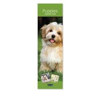 2026 Super Slim Month To View Spiral Bound Photo Wall Calendar (Puppies)