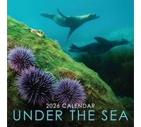 2026 Under the Sea 12" x 12" Square Hanging Wall Calendar with Stunning Underwater Sealife Photography - No Plastic, Environmentally Friendly. Daily, Weekly, Monthly 12 Month Planner