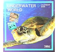 2026 Underwater World Square Wall Calendar Cute Animals Wild Sea Ocean Life Shark Fish Dolphin Fish Planner Organiser Home Kitchen Office Christmas Birthday New Year