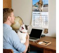 2026 Wall Calendar 12 Month | Funny Cats Calendar 2026 | Scheduling Tool Family Planner Organizer for Fridge Desk Kitchen Living Room Desktop